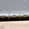 Walnut fratino table 1800s - Image 4